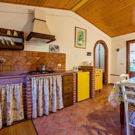 Agriturismo Il Feudo Guest House Grosseto Exterior foto