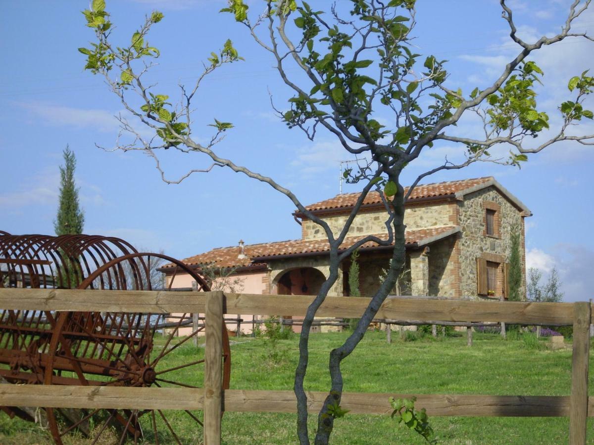 Agriturismo Il Feudo Guest House Grosseto Exterior foto